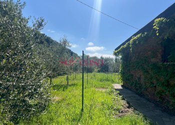 Foto 9 - Terreno agricolo Grosseto - foto 9