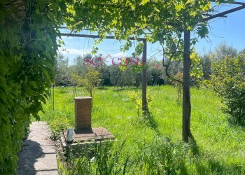 Foto 10 - Terreno agricolo Grosseto - foto 10