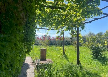 Foto 11 - Terreno agricolo Grosseto - foto 11