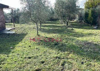 Foto 17 - Terreno agricolo Grosseto - foto 17