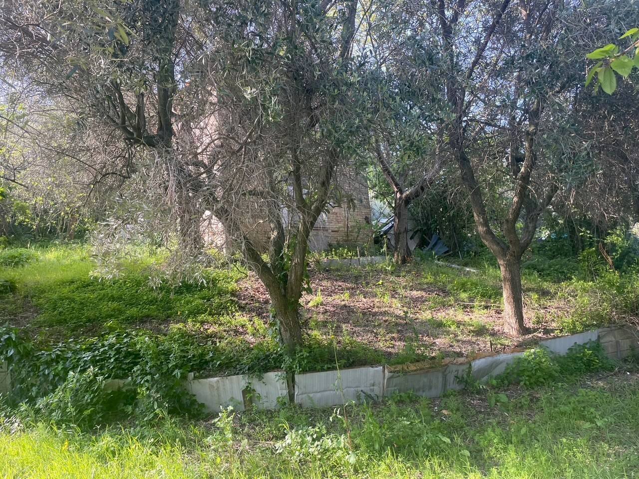 Foto 3 - Rustic Contrada Valle del forno, San Benedetto del Tronto - photo 3