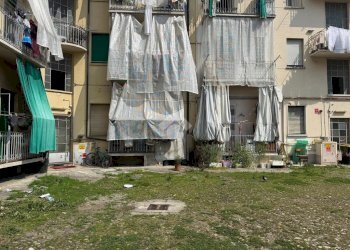 Box Via Malone, Torino (zona Barriera Milano) - foto 13