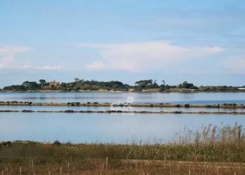 Villa a Schiera Marsala - foto 20