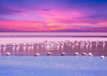 Villa a Schiera Marsala - foto 21