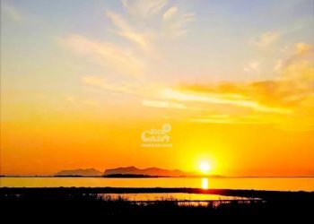 Villa a Schiera Marsala - foto 24