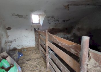 Independent house Via Carpenetti, 11, Gambasca - photo 27