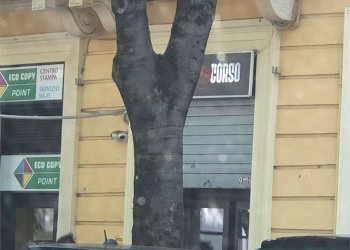 Negozio Modena (zona Centro Storico) - foto 2