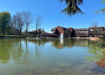 Bilocale frazione Milano 3, Basiglio - foto 14