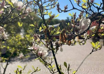 Bilocale frazione Milano 3, Basiglio - foto 16