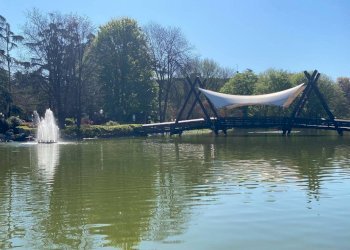 Bilocale frazione Milano 3, Basiglio - foto 17