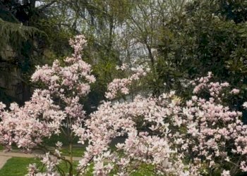 Bilocale frazione Milano 3, Basiglio - foto 20