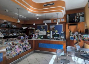 Bar Tavola Calda - Fredda corso Pietro Ascolese, Montoro - foto 3