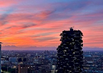 Trilocale Milano - foto 28