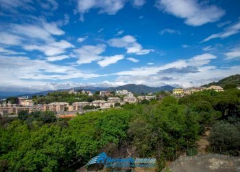 Trilocale Genova (zona Sampierdarena) - foto 5