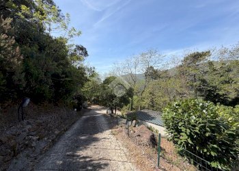 Villa Località Villa Libiola, Sestri Levante - foto 2