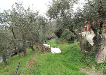 Villa Via delle Ortensie, Leivi - foto 32