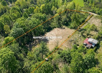 Terreno agricolo Bosco Ceduo Via Forvilla, Givoletto - foto 1