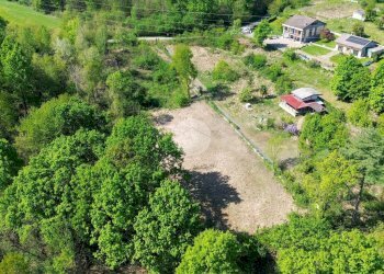 Terreno agricolo Bosco Ceduo Via Forvilla, Givoletto - foto 2