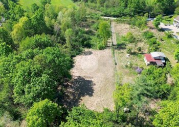 Terreno agricolo Bosco Ceduo Via Forvilla, Givoletto - foto 3