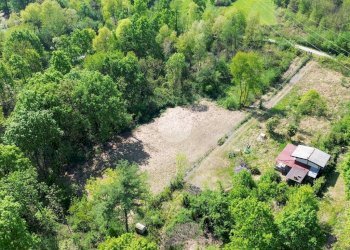 Terreno agricolo Bosco Ceduo Via Forvilla, Givoletto - foto 4