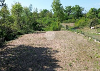 Terreno agricolo Bosco Ceduo Via Forvilla, Givoletto - foto 7