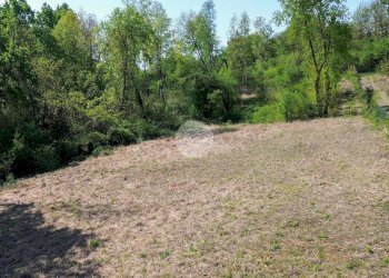 Terreno agricolo Bosco Ceduo Via Forvilla, Givoletto - foto 8