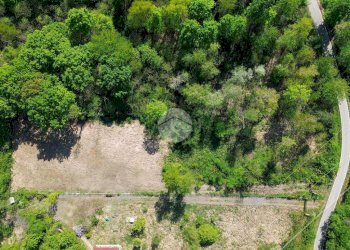 Terreno agricolo Bosco Ceduo Via Forvilla, Givoletto - foto 10