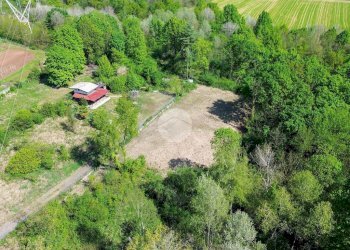 Terreno agricolo Bosco Ceduo Via Forvilla, Givoletto - foto 11