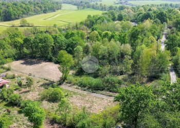Terreno agricolo Bosco Ceduo Via Forvilla, Givoletto - foto 12
