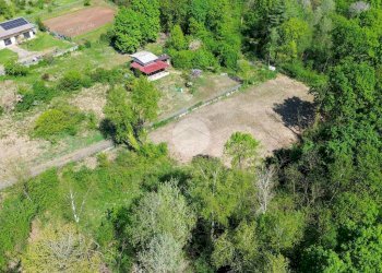 Terreno agricolo Bosco Ceduo Via Forvilla, Givoletto - foto 13