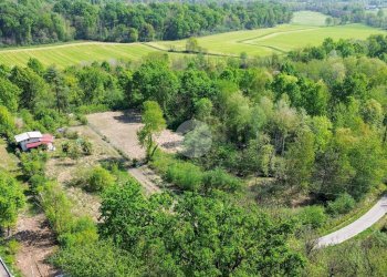 Terreno agricolo Bosco Ceduo Via Forvilla, Givoletto - foto 14