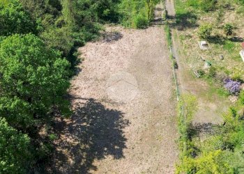 Terreno agricolo Bosco Ceduo Via Forvilla, Givoletto - foto 15