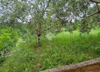 Villa a Schiera Via cà fabbruccio, Tavoleto - foto 8