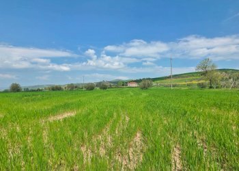 Foto 3 - Terreno agricolo Russo, Castel Baronia - foto 3