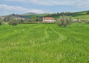 Foto 4 - Terreno agricolo Russo, Castel Baronia - foto 4