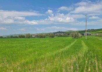 Foto 5 - Terreno agricolo Russo, Castel Baronia - foto 5
