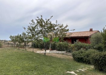 Foto 42 - Commercial Activity via delle cerase, Colonnella - photo 42