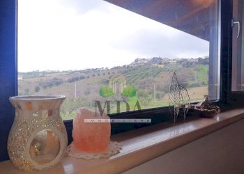 Foto 68 - Commercial Activity via delle cerase, Colonnella - photo 68