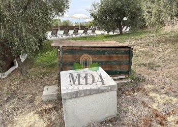 Foto 84 - Commercial Activity via delle cerase, Colonnella - photo 84