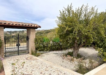 Foto 103 - Commercial Activity via delle cerase, Colonnella - photo 103