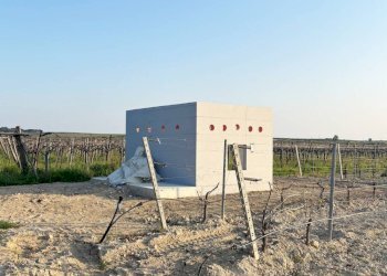 Foto 5 - Terreno agricolo Cerignola - foto 5