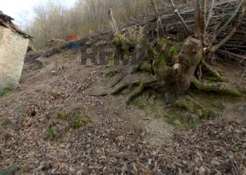 Giardino - Rustico Cremenaga - foto 5