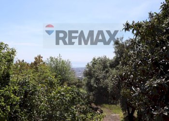 Giardino - Terreno agricolo Via Civì
 
33, Fiumefreddo di Sicilia - foto 4