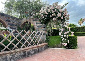 Giardino - Villa contrada vasadonna
 
snc, Belpasso - foto 6