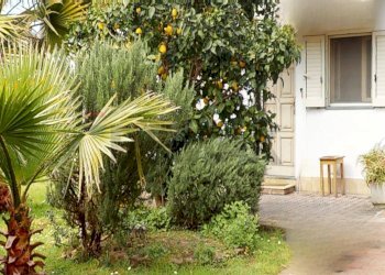 Giardino - Casa semi indipendente Via Padule
 
22, Pietrasanta - foto 33