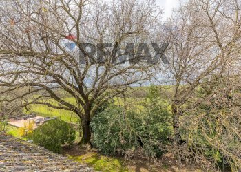 Giardino - Casa semi indipendente Via della Marcigliana
 
747, Roma - foto 48