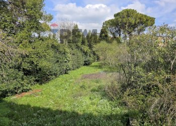 Giardino - Villa Via Antonio Gramsci, Castelplanio - foto 20