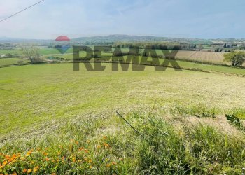 Giardino - Rustico Potenza Picena - foto 12