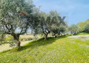 Giardino - Rustico Potenza Picena - foto 14