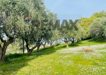 Giardino - Rustico Potenza Picena - foto 15